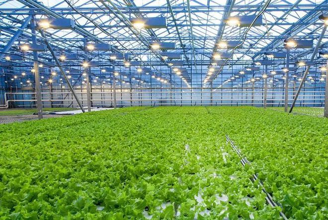 香烟云南印象多少钱_云南香烟_香烟云南红云