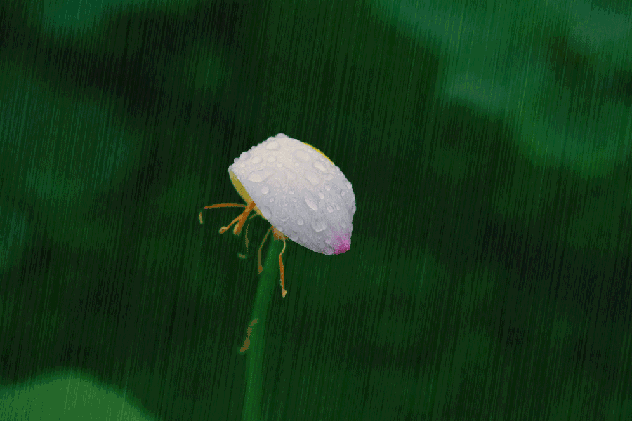 香烟云南红云_香烟云南印象多少钱_云南香烟