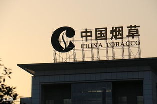 福建云霄香烟有限公司,揭秘福建云霄香烟:一场跨越半个世纪的烟草传奇-第6张图片-香烟批发平台