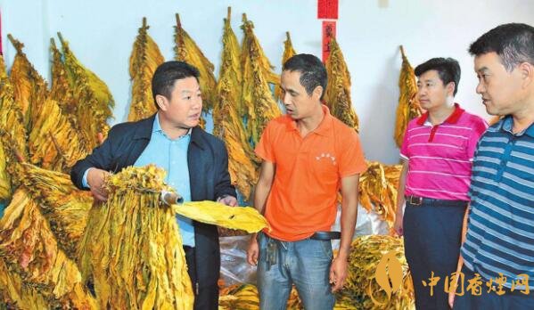 农村发烟_私自造烟的村子_小村子造20年假烟