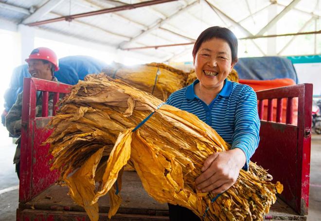 私自造烟的村子_农村发烟_小村子造20年假烟