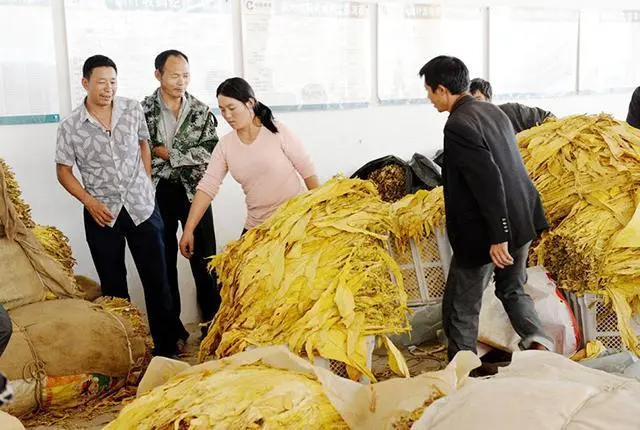 小村子造20年假烟_农村发烟_私自造烟的村子