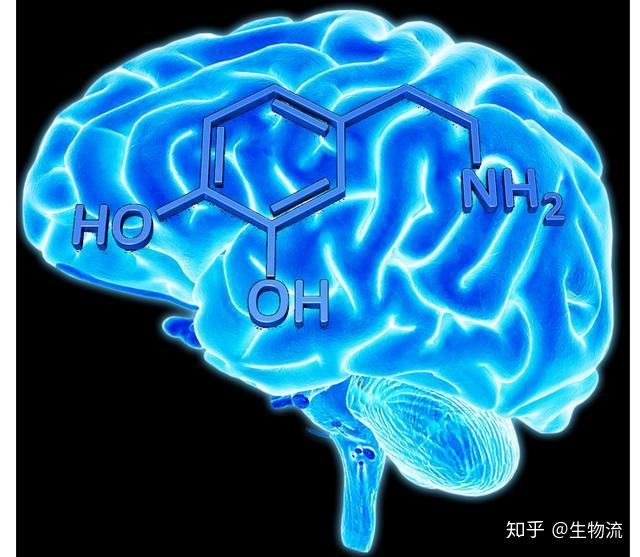 香烟国产排名前十名_国产香烟排名_香烟国产排名前十