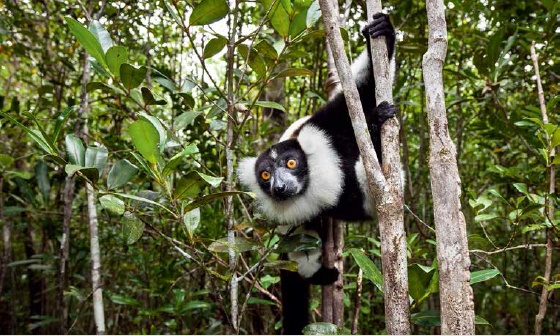 福建云霄香烟厂家直销_福建云霄香烟一手货源_福建云霄一手烟货源