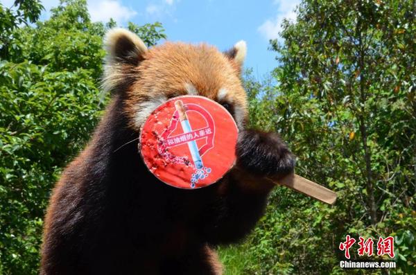 福建云霄香烟一手货源_福建云霄一手烟货源_福建云霄香烟厂家直销