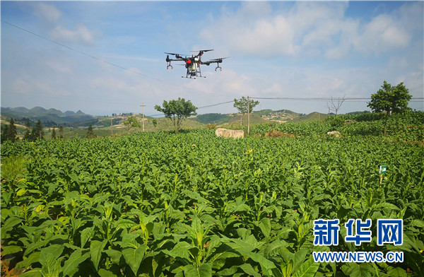 小村子造20年假烟_农村发烟_私自造烟的村子