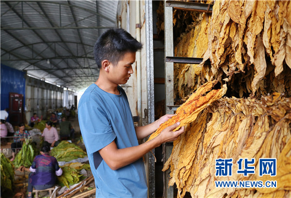 私自造烟的村子_小村子造20年假烟_农村发烟