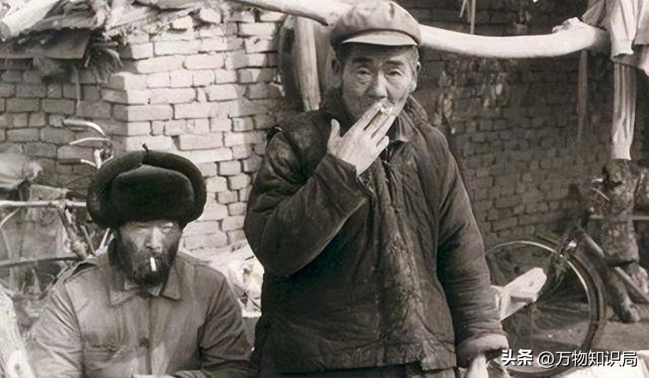 高端中国名烟排行_高端中国名烟排行榜_中国高端名烟