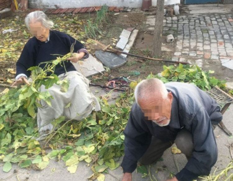 f1造雾者电子烟吧酒吧怎么样_私自造烟的村子_造雾主电子烟