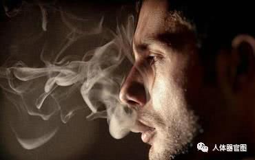 中华细枝假烟_中华烟细支假烟_假中华细烟