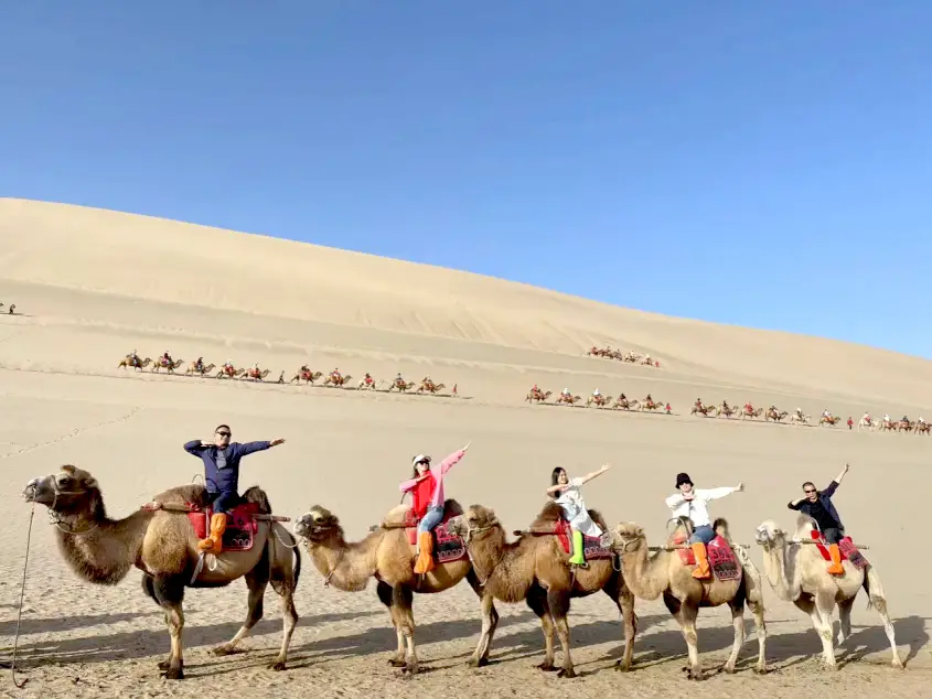 云霄香烟价格查询_香烟云霄查询价格官网_云霄香烟百度百科