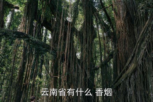 云南省有什么 香烟