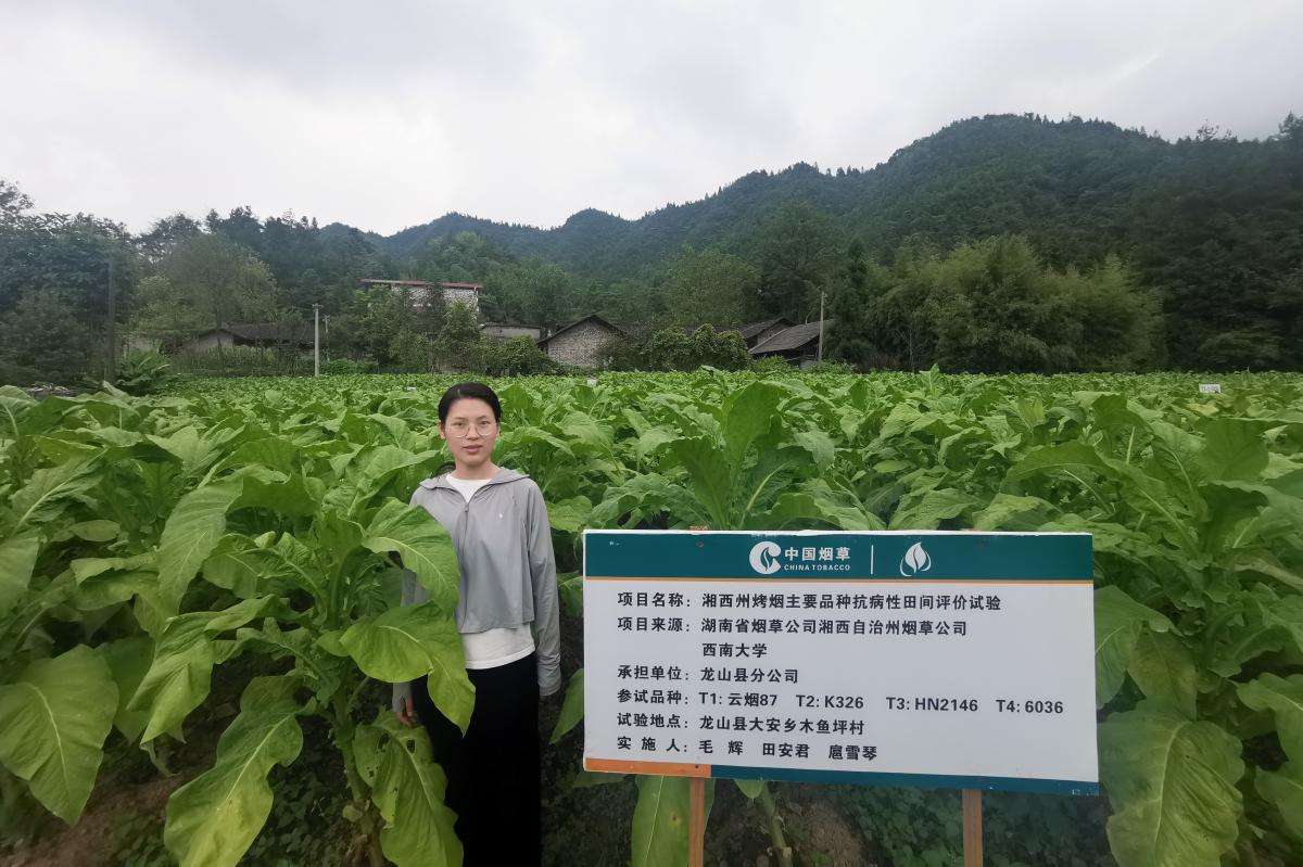 假中华烟细支_假中华细烟_假细中华多少钱一包