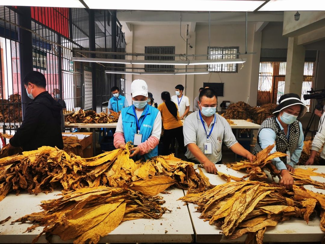 香烟云南的烟最好_香烟云南印象多少钱_云南香烟