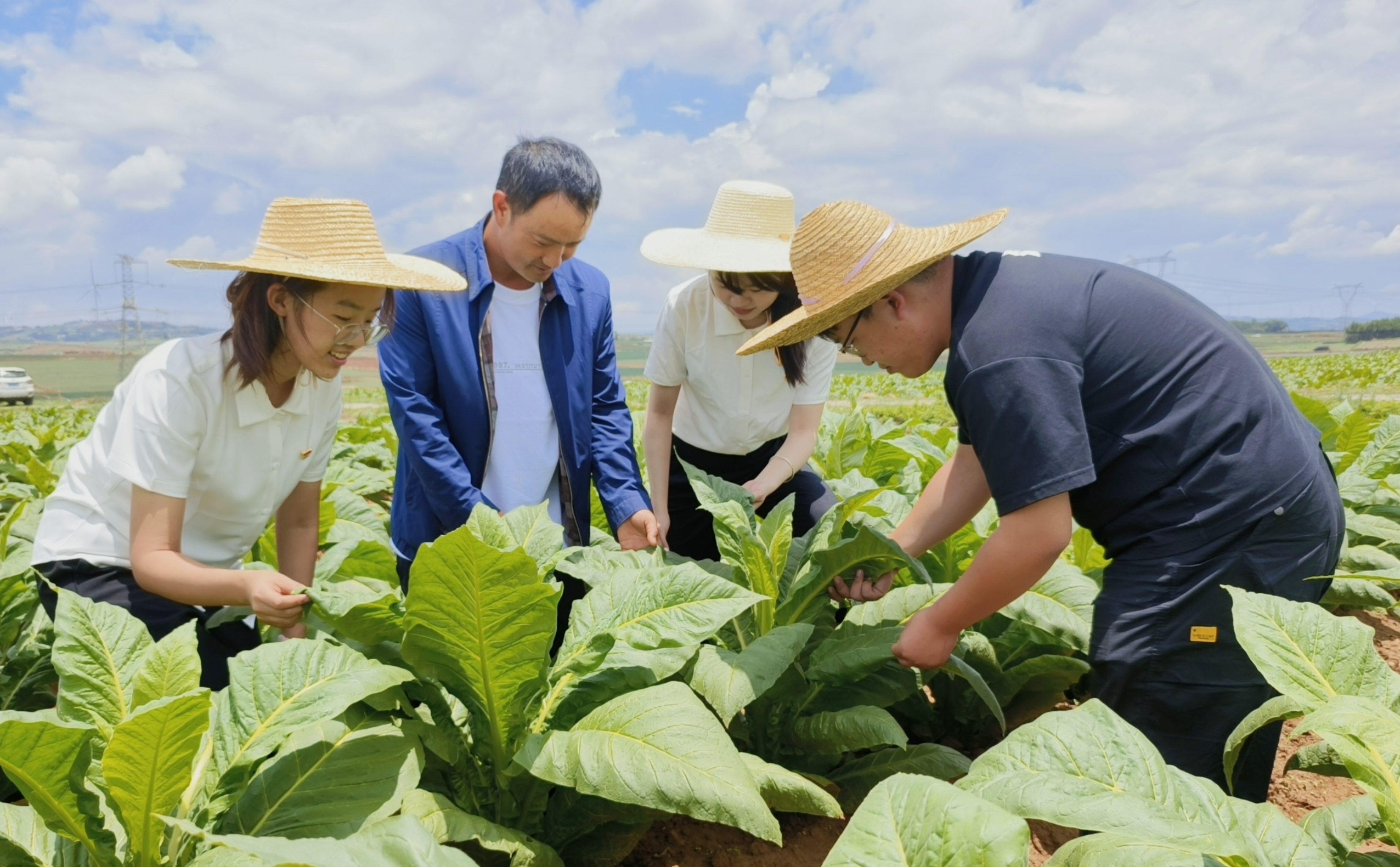 顶级国烟一手货源_一手货源香烟厂家_一手香烟货源厂家直销