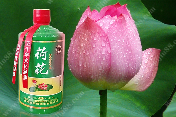 贵洲茅台镇荷花酒价格_贵州茅台荷花酒价格_贵州茅台镇荷花酒和荷花烟