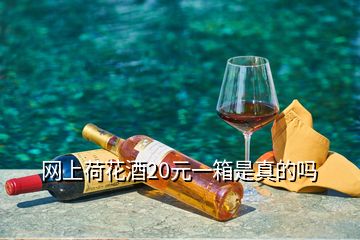 网上荷花酒20元一箱是真的吗