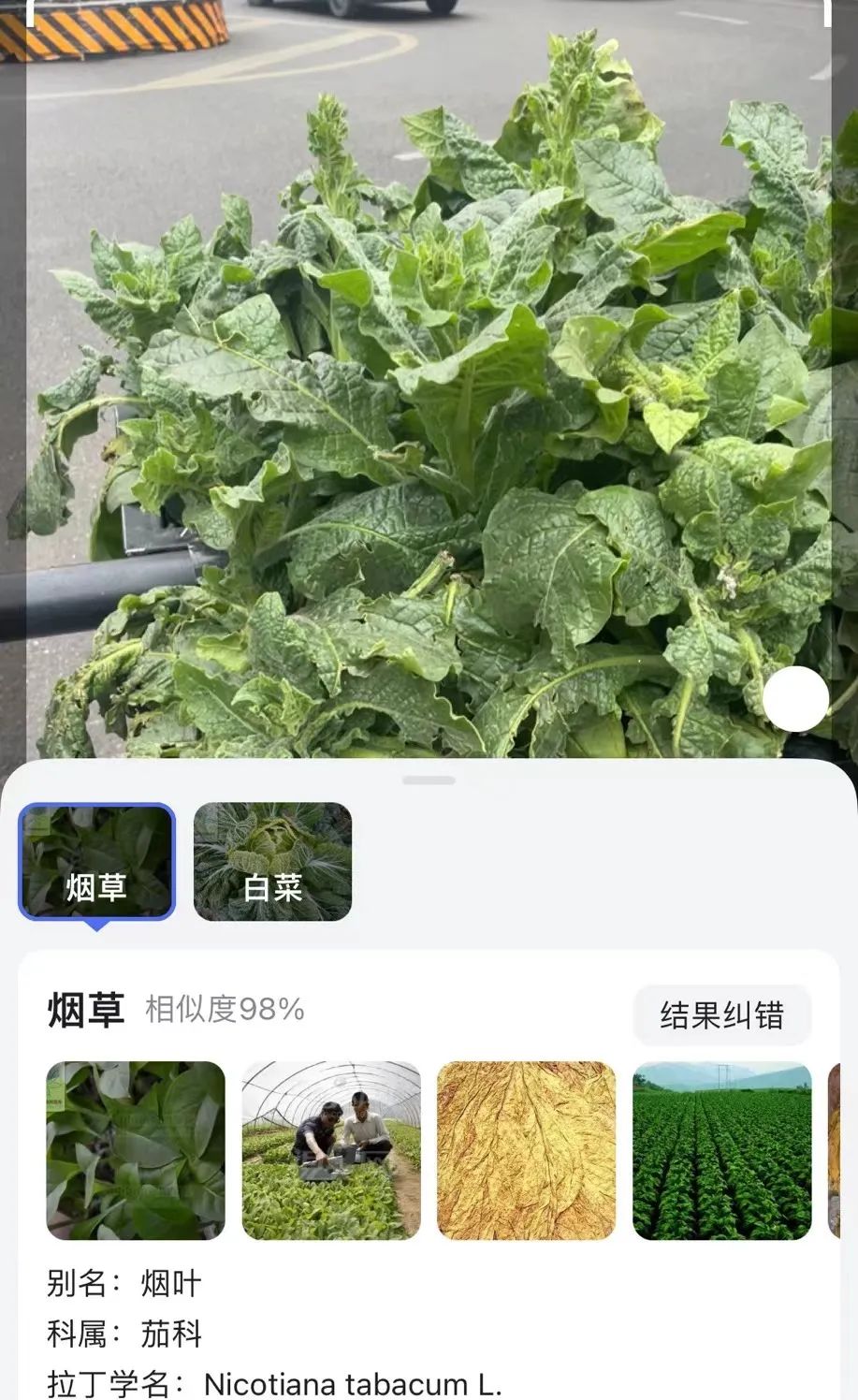 越南代工香烟质量到底如何_越南香烟代工厂_越南代工烟