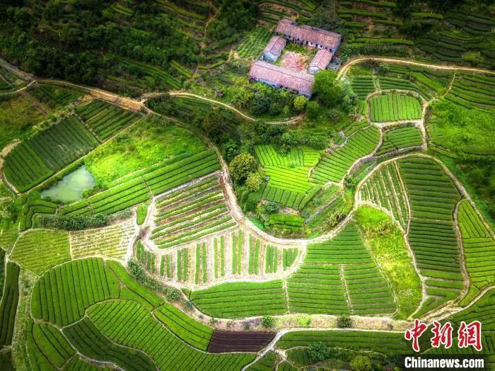 福建云霄_福建云霄香烟_福建云霄县天气预报