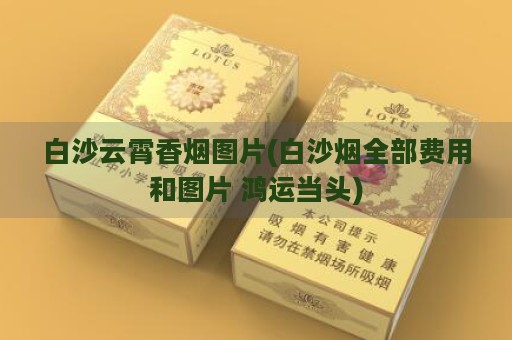 白沙云霄香烟图片(白沙烟全部费用和图片 鸿运当头)-第2张图片-香烟批发平台