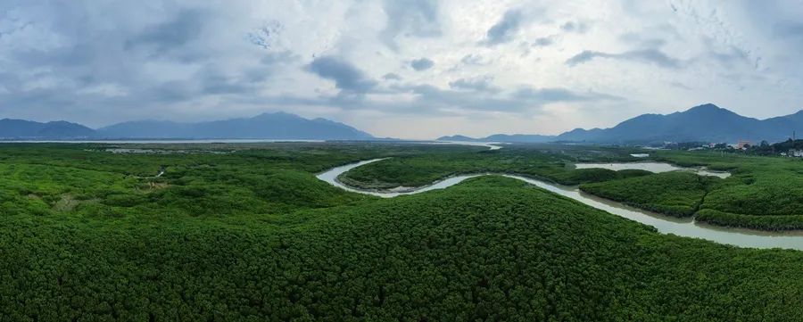 福建云霄假香烟到底能不能抽_福建云霄_福建云霄县属于哪个市