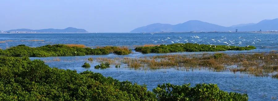 福建云霄假香烟到底能不能抽_福建云霄县属于哪个市_福建云霄