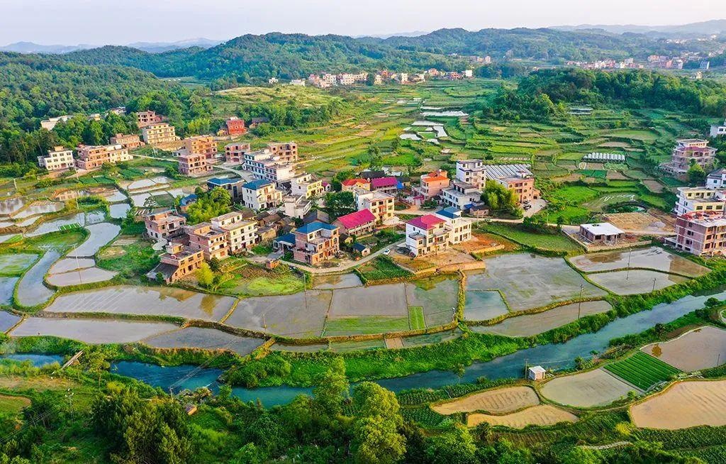 福建云霄县天气预报_福建云霄_福建云霄假香烟到底能不能抽