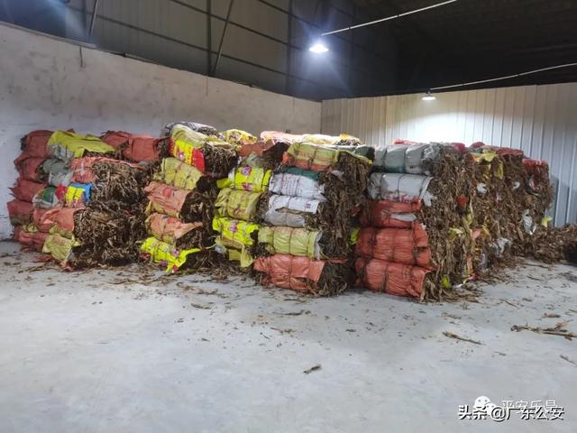 雷州市海山酒家(假烟窝点藏身百平方米地下室，警方出动钩机掀开洞口！)(图10)