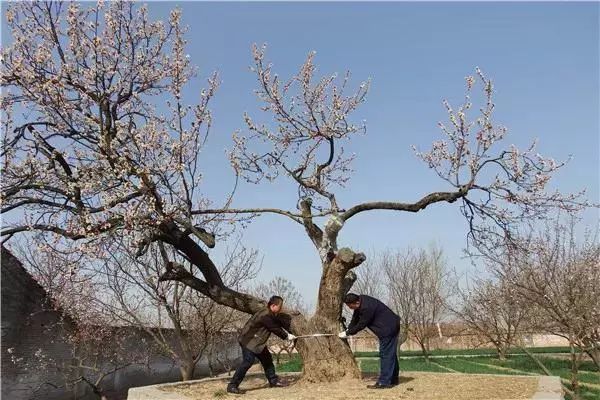 福建云霄_福建云霄县属于哪个市_福建云霄香烟