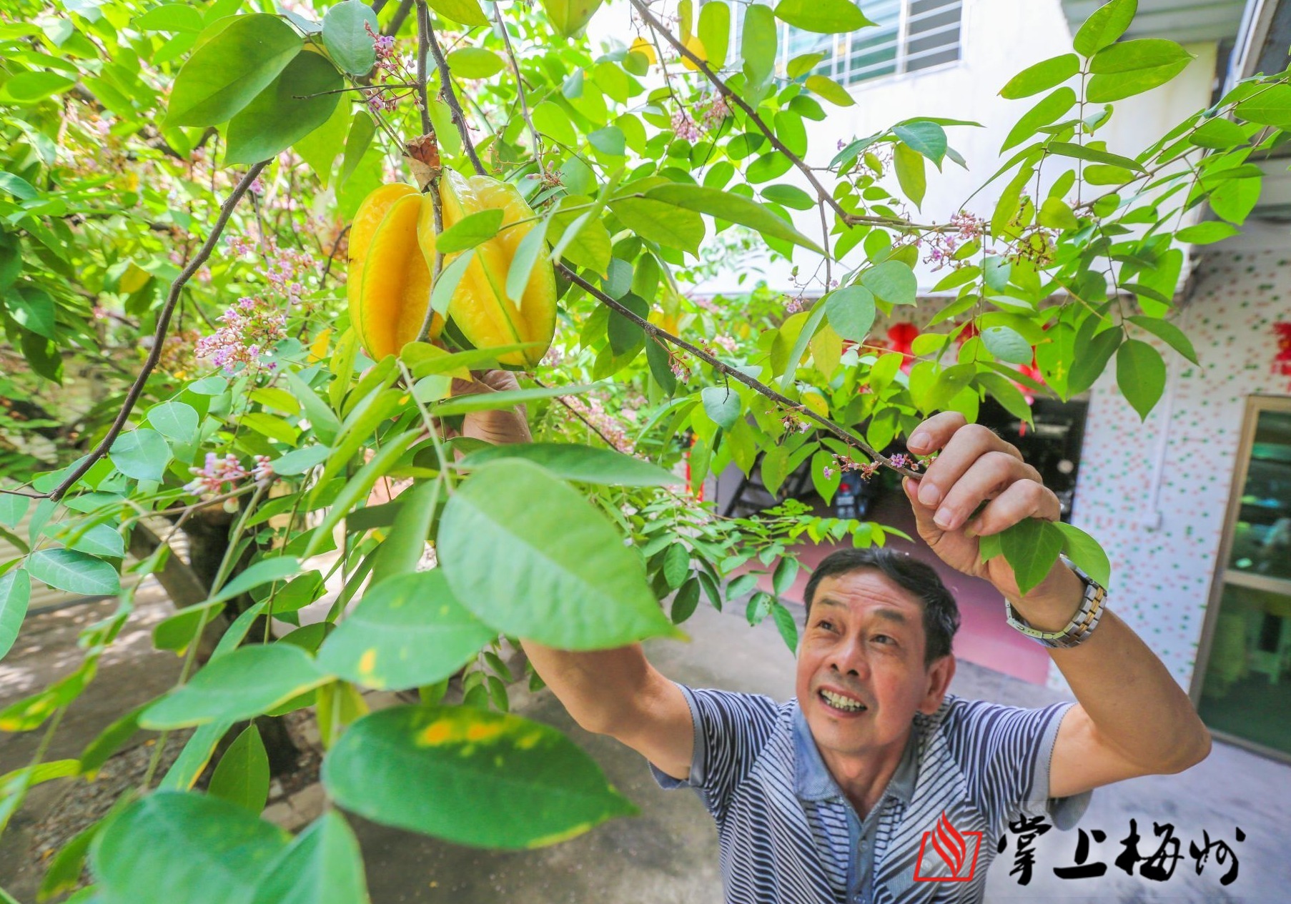 福建云霄_福建云霄假香烟到底能不能抽_福建云霄县属于哪个市