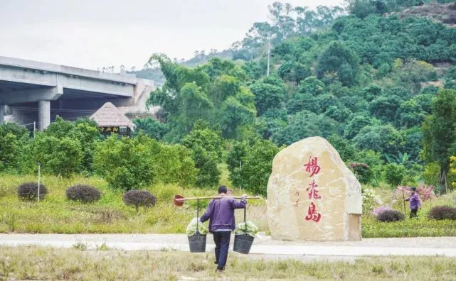 福建云霄_福建云霄假香烟到底能不能抽_福建云霄县属于哪个市