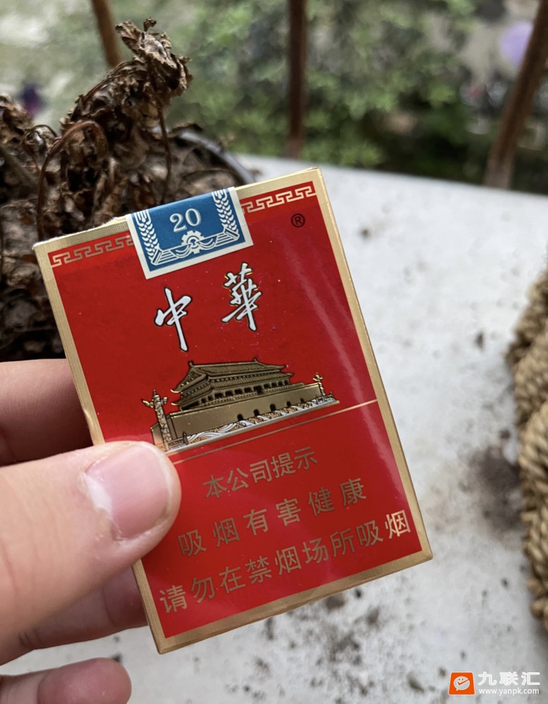 中华烟_烟中华多少钱一盒_烟中华多少钱一条