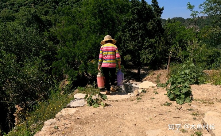 私自造烟的村子_f1造雾者电子烟吧酒吧怎么样_造雾者蒸汽电子烟清吧怎么样