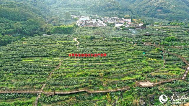 福建云霄_福建云霄香烟_福建云霄天气