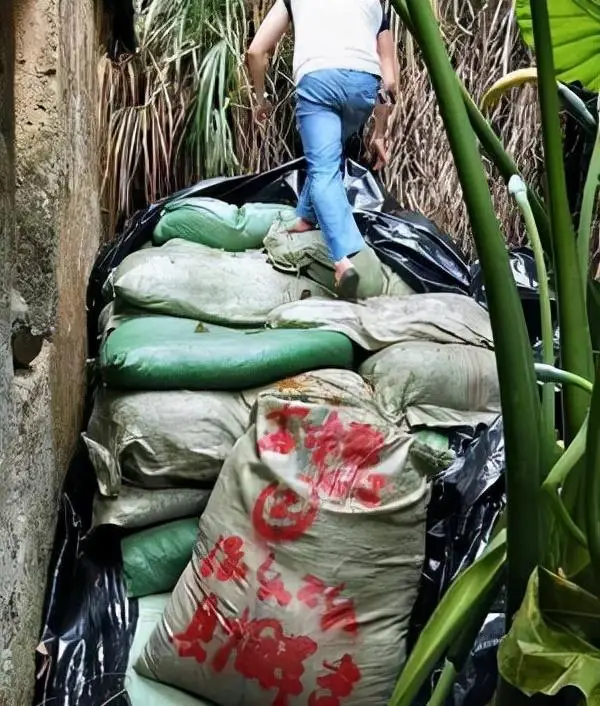 云霄卷烟厂生产什么牌_现在云霄卷烟厂生产正品烟了吗_云霄香烟生产厂家-首页