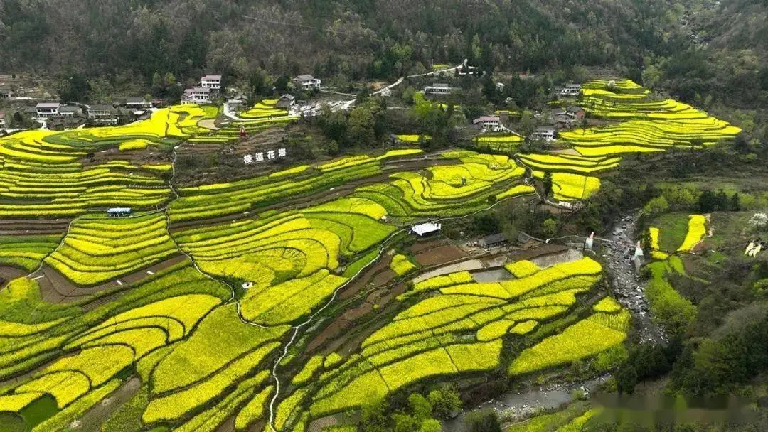 福建云霄县属于哪个市_福建云霄假香烟到底能不能抽_福建云霄