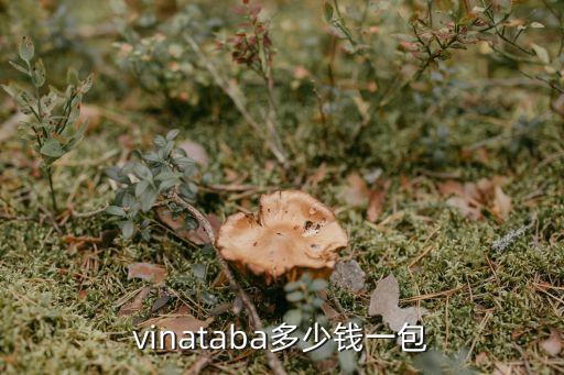 vinataba多少钱一包