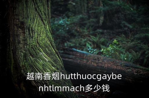 越南香烟hutthuocgaybenhtlmmach多少钱